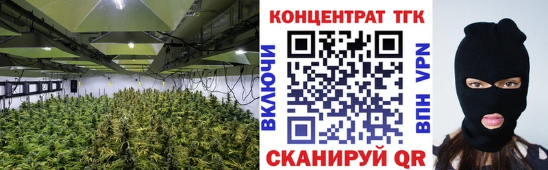 kraken зеркало  Сызрань  Дистиллят ТГК концентрат 